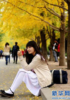 遼寧大學(xué)　金色の「イチョウの道」が人々を魅了