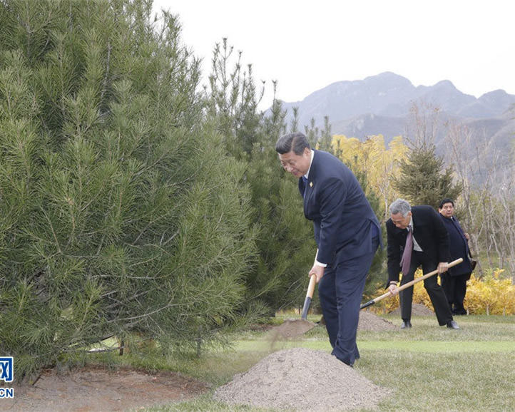 習(xí)主席とAPEC各エコノミーの首脳と代表らが植樹