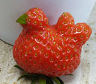 ニワトリ型のイチゴ発見(jiàn)、「妖精」フルーツ続々公開(kāi)