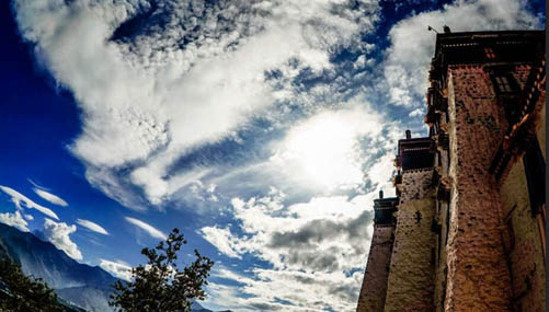 チベットの美　緑の草原、青い空、輝く太陽　　
