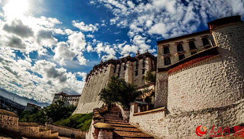 チベットの美　緑の草原、青い空、輝く太陽　　
