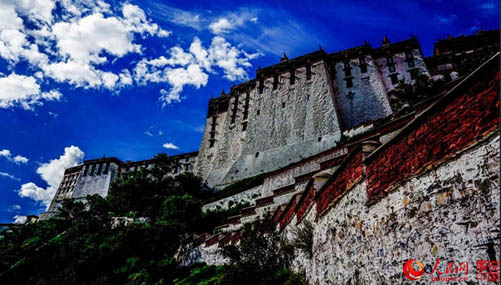チベットの美　緑の草原、青い空、輝く太陽　　
