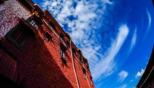 チベットの美　緑の草原、青い空、輝く太陽　　