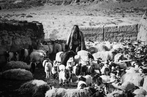 ヴェネツィア國際映畫祭、チベット語映畫「塔洛」が上映