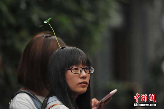 「頭のてっぺんに草花」飾りブームが全國に拡散
