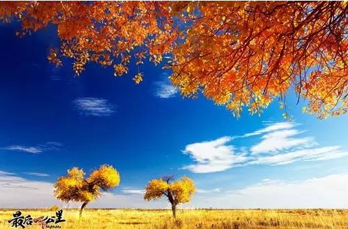 新疆の魅力的な風(fēng)景、美しさに酔いしれる