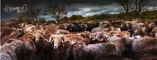 新疆の魅力的な風(fēng)景、美しさに酔いしれる