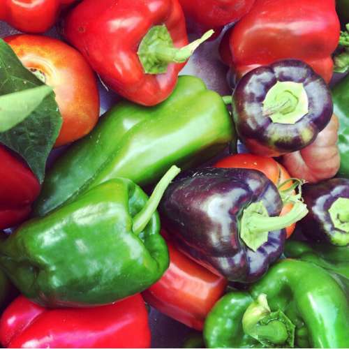 ミシェル夫人、ホワイトハウス晩餐會の準備の様子をSNSで公開