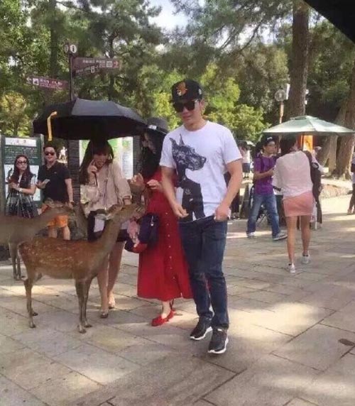 日本に旅行中のカリーナ?ラウ、緑に覆われた庭を鑑賞