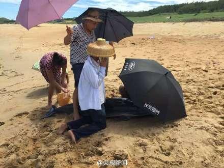 海岸に打ち上げられたイルカを村民が救助、傘で日陰を作る　海南省
