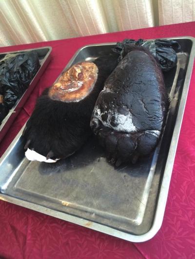 北京最大の象牙密輸事件を摘発、殆どが日本から流入