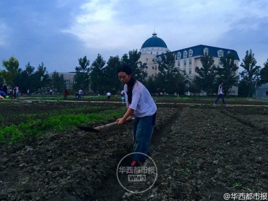 四川大學(xué)錦城學(xué)院、農(nóng)作業(yè)を必修科目に