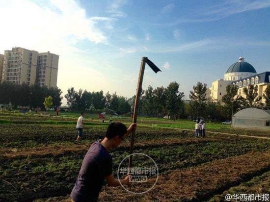 四川大學(xué)錦城學(xué)院、農(nóng)作業(yè)を必修科目に