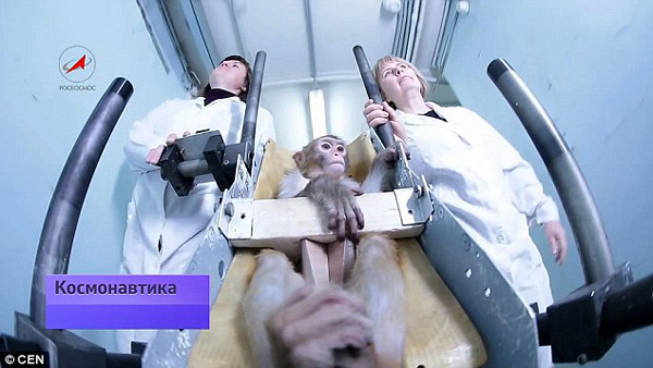 火星にサルを送り込む計(jì)畫(huà)、人類(lèi)の未來(lái)への道を探る　ロシア