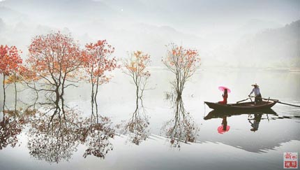 今年もやってきた、楓を真っ赤に染める秋
