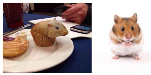 信じられない?。俊感推皮辍工圣暴`キ特集