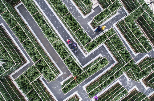 天津初、消防のテーマパークが開園