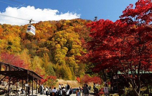 寫(xiě)真で観る「日本の秋」