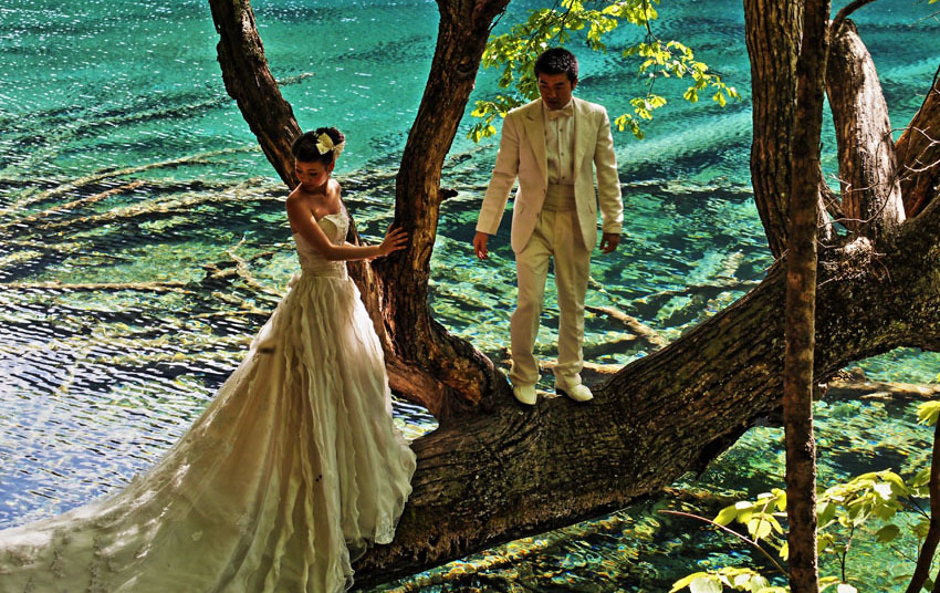 大自然の中で結(jié)婚用寫真撮影
                有村勝明
                
                　中國(guó)では色んな場(chǎng)所で結(jié)婚用の寫真を撮る風(fēng)景を見(jiàn)かけます。綺麗なドレスやスーツを著る訳ですが、場(chǎng)所が観光地だと移動(dòng)が大変。九寨溝を観光した時(shí)に出會(huì)った光景ですが、こんな自然一杯の場(chǎng)所でドレスやスーツが汚れてしまわないのかそっちの方が気になりました。
                獲得票數(shù) 123456