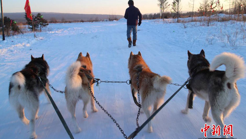 まるで童話の世界、冬の冷極村　中國