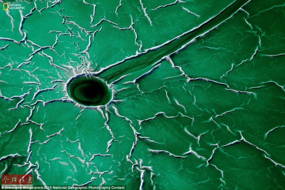 米國「ナショナルジオグラフィック」誌の2015年度寫真コンテスト優(yōu)秀作品