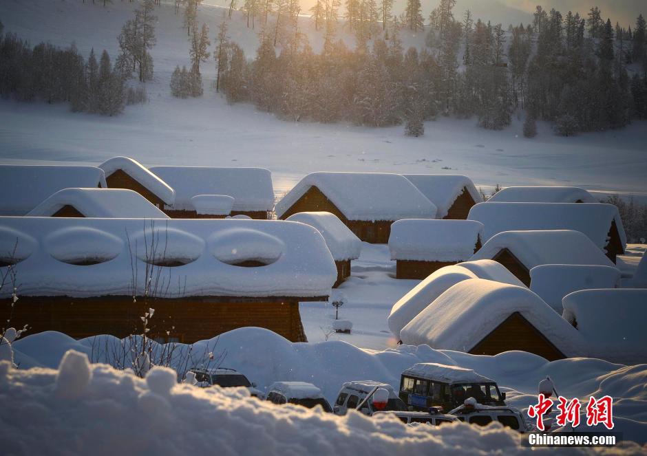 新疆に降り続く雪、最も美しい景色を迎えた禾木