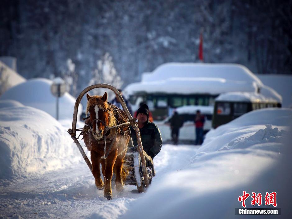 新疆に降り続く雪、最も美しい景色を迎えた禾木