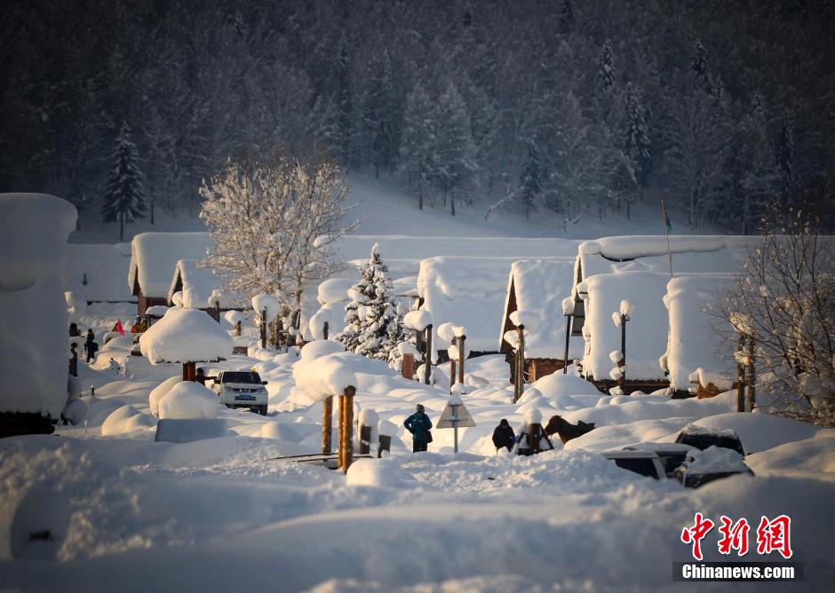 新疆に降り続く雪、最も美しい景色を迎えた禾木