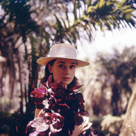 林を靜かに散歩するオードリー?ヘップバーン、昔の寫真が公開