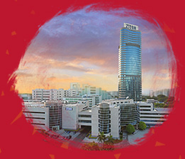 　2016年春節(jié)を迎えるにあたり、ZTE ジャパン株式會(huì)社社員一同、心より新春のご挨拶を申し上げ、偉大なる祖國の繁栄をお祈り申し上げます。新たな一年、弊社は引き続き両國の通信および科學(xué)技術(shù)分野の協(xié)力を推し進(jìn)め、我々なりの貢獻(xiàn)を果たしてまいります。