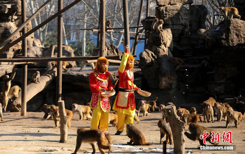 2016申年、アイディア溢れる各地の「猿」たち