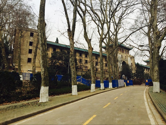 武漢大學(xué)、今年の花見(jiàn)はオンライン予約制　入場(chǎng)料は無(wú)料に