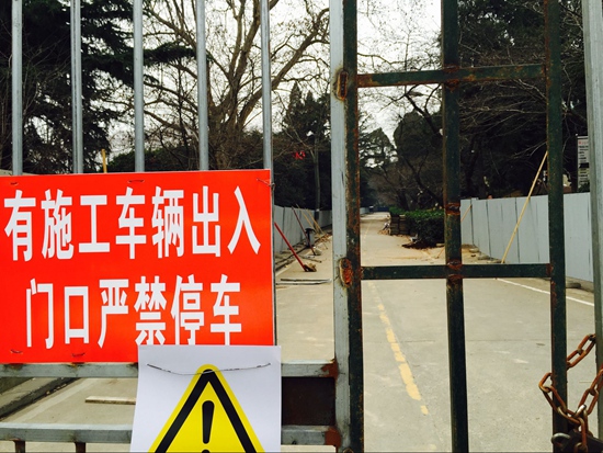 武漢大學、今年の花見はオンライン予約制　入場料は無料に