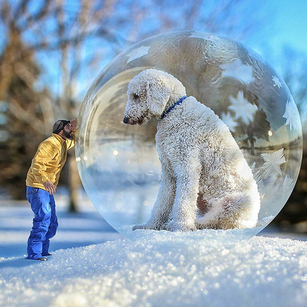 可愛い！フォトショで巨大化した愛犬とのツーショット