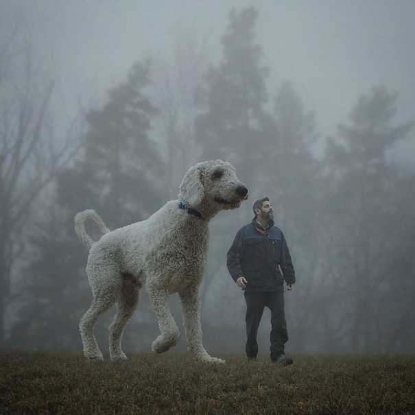 可愛い！フォトショで巨大化した愛犬とのツーショット