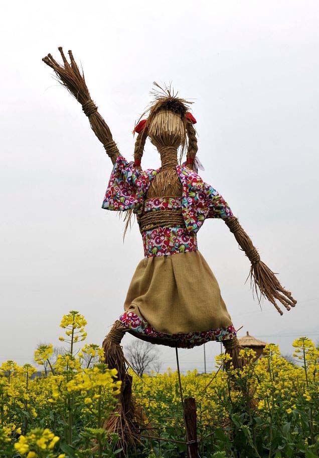 黃色に染まる菜の花畑にユニークな「かかし」が登場(chǎng)　浙江省