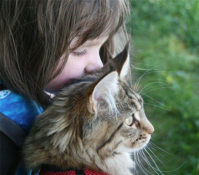 6歳の自閉癥少女とネコはいつも一緒の仲良し　英國(guó)