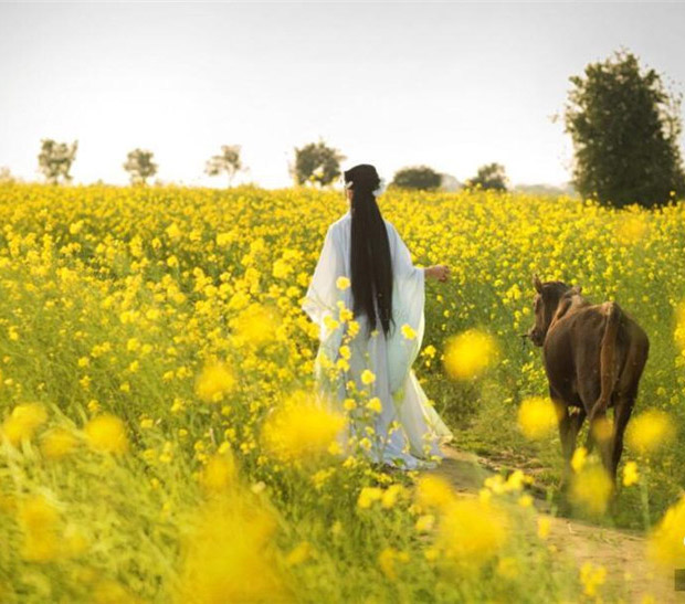 大卒の村の女性リーダー、古代衣裳で村をPR　江西省