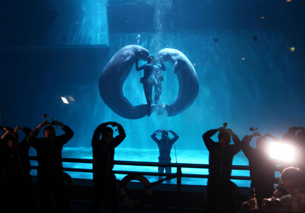 5月20日は告白の日、これまであった風(fēng)変わりなプロポーズ