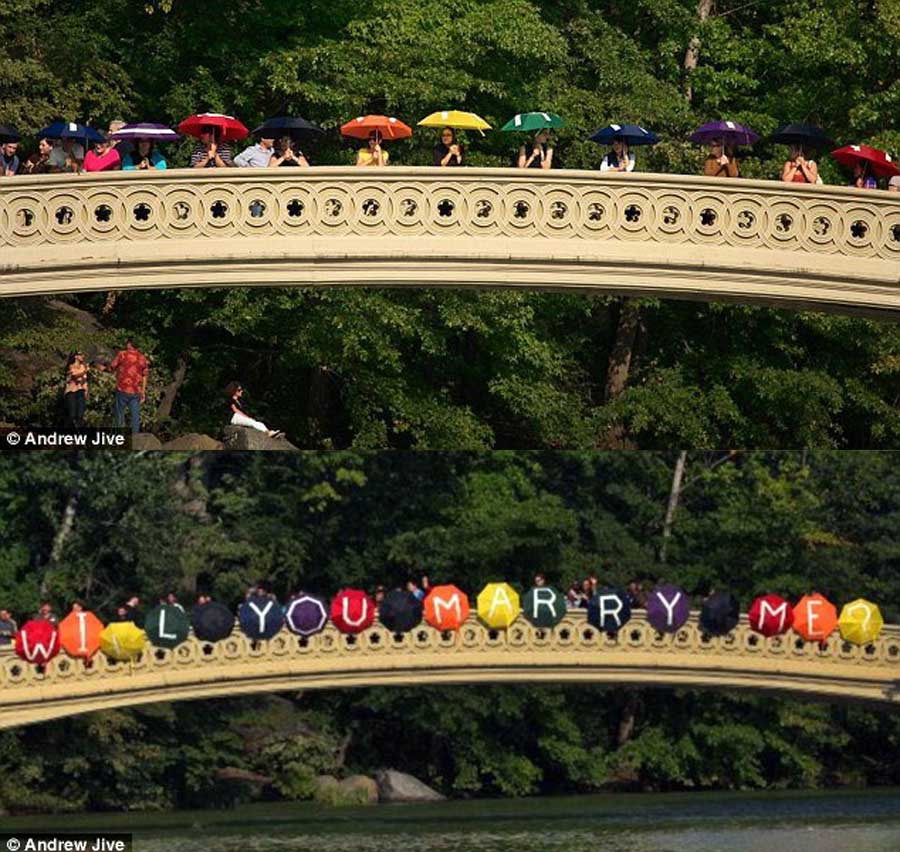 5月20日は告白の日、これまであった風(fēng)変わりなプロポーズ