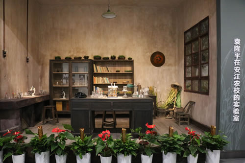 中國(guó)初の大型イネ博物館、試験営業(yè)を開(kāi)始　湖南省