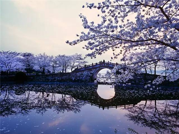 ロシア人カメラマンにとっての中國、各地の絶景を激寫