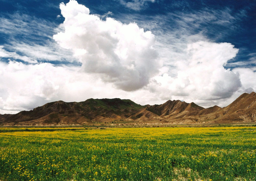 チベット、心の聖地