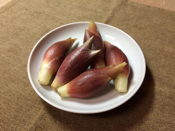 こんなに美味しそうなのに食べられない??？