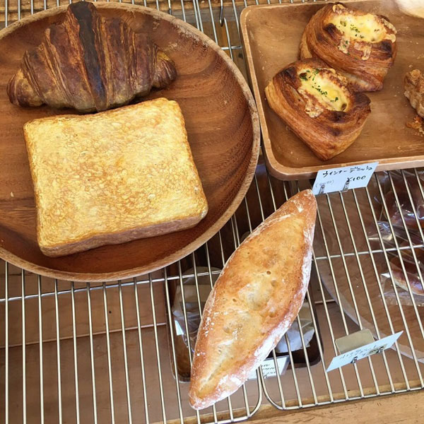 こんなに美味しそうなのに食べられない?。?></a></td></tr><tr><td class=