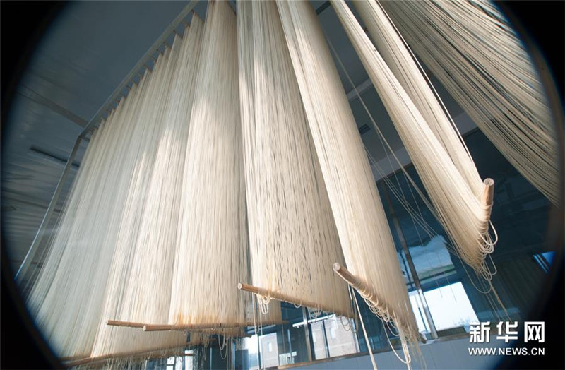 河北省藁城耿家莊の宮麺生産作業(yè)場(chǎng)。麺は干して乾燥させる（7月13日撮影）