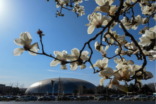 上半期「環(huán)境の質(zhì)」主要指標(biāo)が発表 338都市の大気の質(zhì)、全體的に改善