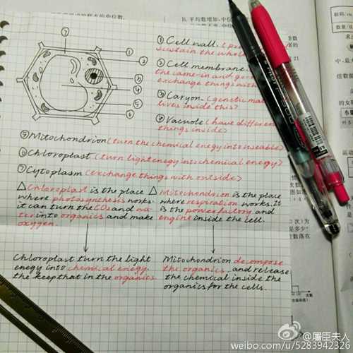 まるで絵のよう！秀才美女の「手書きノート」がネットで話題に