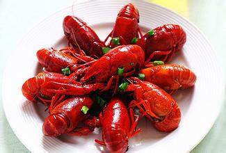 夜食の誘惑に負ける理由は？　研究で解明