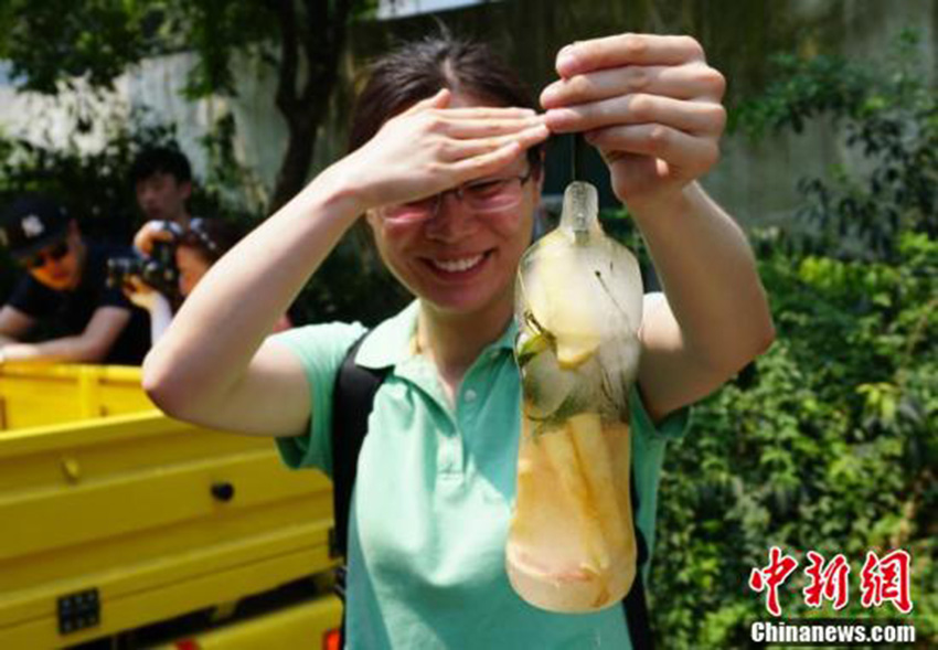 猛暑到來、動物たちも暑気払い　無錫